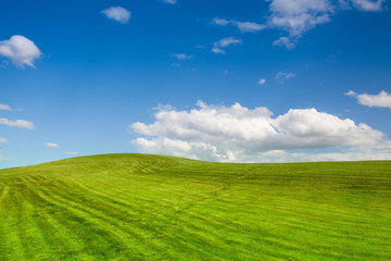 Fototapeta premium On a empty golf course in spring
