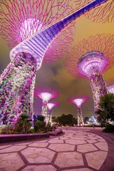 Wandcirkels aluminium Magic garden at night, Singapore © aiisha