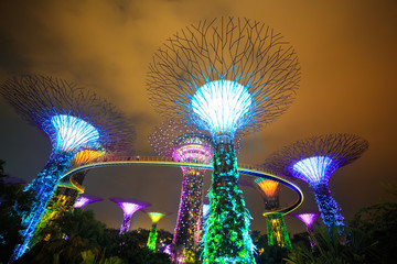 Magic garden at night, Singapore