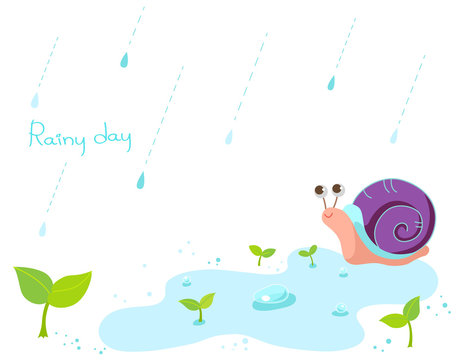 Snail in rainy day