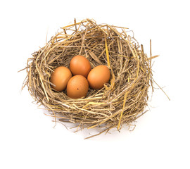 twigs nest with brown chicken eggs