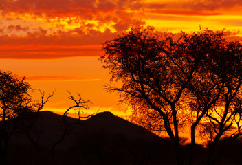 Landscape silhouette against a magical african sunset