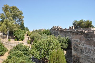Fototapeta premium Gibralfaro Castle in Málaga