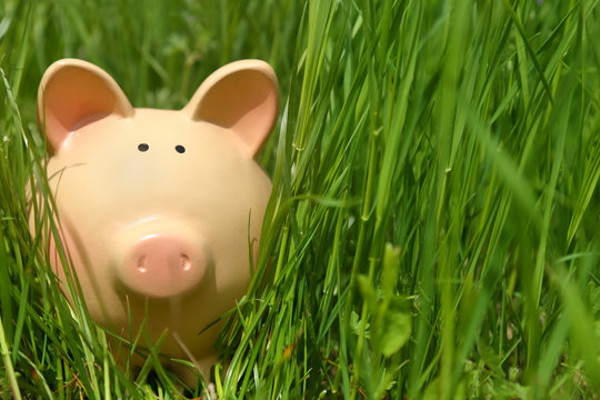 Piggy bank in green grass,closeup background