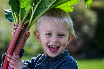 Boy and rhubarbs