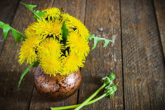 Fototapeta Yellow dandelion