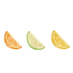isolated sliced Citrus fruit 