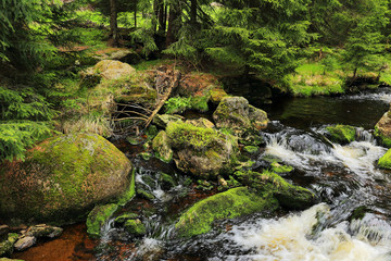 Naklejka na ściany i meble Creek in Wilderness from Mountains Sumava, southern Bohemia