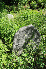 Tombstones on the old village Jewish Cemetery, Czech Republic