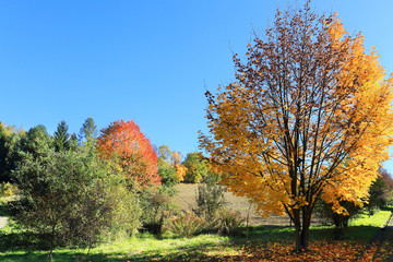 Beautiful autumn Landscape from the central Bohemia