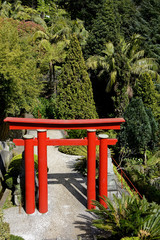 Fototapeta na wymiar Funchal, japanischer Garten im Tropischen Garten Monte