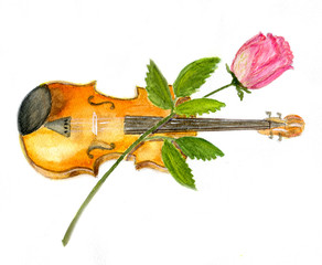 violin