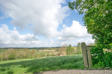 Open Sussex countryside 