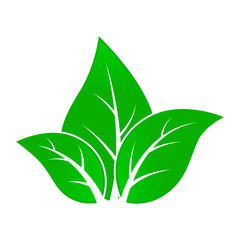 Green Leafs