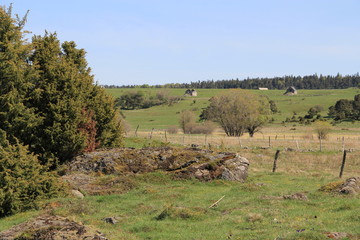 paysage du Cantal