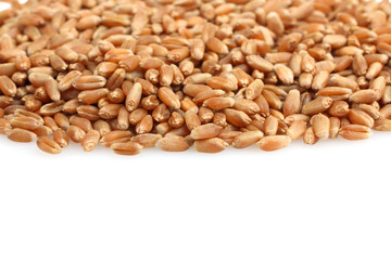 Portion of Spelt Close up top view surface isolated 