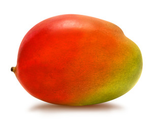 Juicy fresh mango isolated