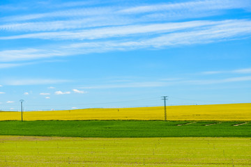 Green field on a background of blue sky with clouds