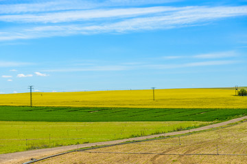 Obraz premium Green field on a background of blue sky with clouds