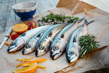 mackerels
