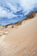 Dunes and sand