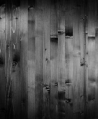 Black and white wood texture.