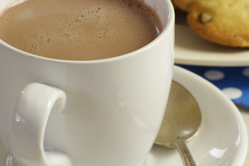 chocolat et cookies 12052015