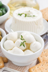 fresh mozzarella and crackers, vertical