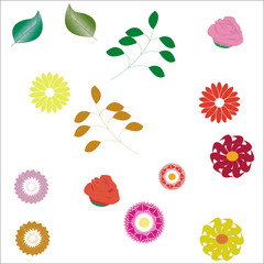 Set of flowers and leaves for designers