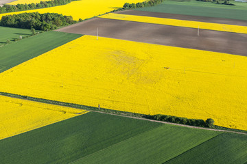 aerial view of harvest fields with tractor