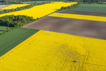 aerial view of harvest fields with tractor