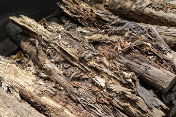 Rotten mangrove wood - Nature perfection, rotten wood broken into pieces