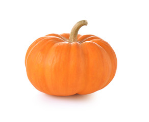 pumpkin on white background