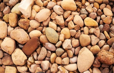 Close Up of Rocks on the ground