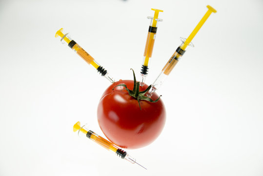 Tomate manipuliert
