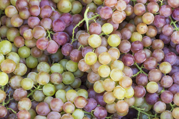 Vietnamese Asia Grape in Dalat market Vietnam