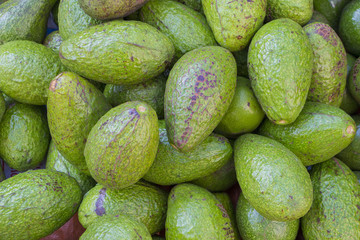 avocado background