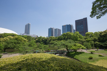 小石川後楽園の風景