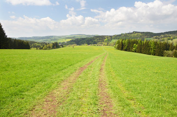 Country road in the field in Orlic mountains (Orlicke hory).