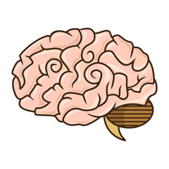 Brain, cartoon style