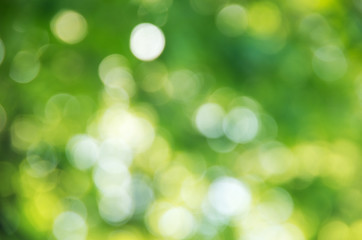 Obraz premium Naturalne tło zamazane pole.