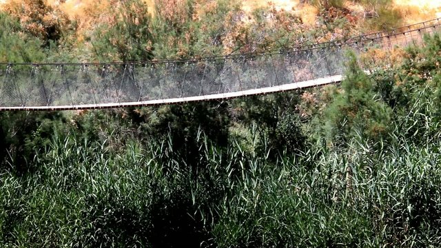 Suspension bridge and  Besor Brook  in Eshkol National Park
