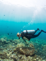 Naklejka na ściany i meble Female diver over a coral reef