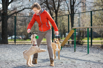 Girl in orange jacket plays with two dogs 