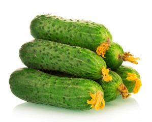 Fresh green cucumbers