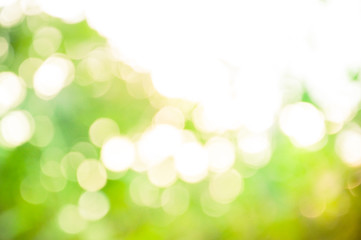 Green Bokeh backgrounds