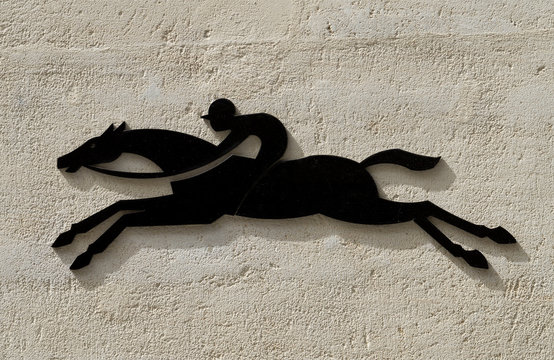 Cheval au galop