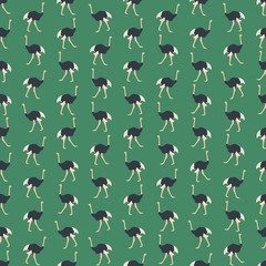 Seamless colorful background made of  ostriches in flat design