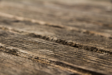 altes Holz