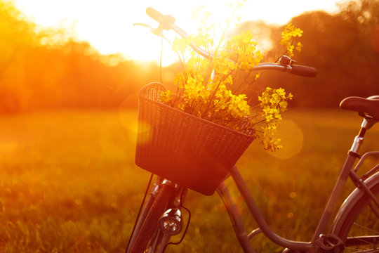 Flower Bike